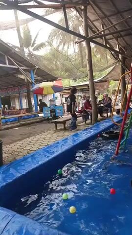 The video shows an outdoor swimming pool area with a blue tarp liner and a thatched roof overhead supported by wooden posts. Children are playing in the pool, which is filled with water and numerous colorful plastic balls. There are also black inner tubes scattered in the water. A yellow slide extends into the pool from the left side of the frame. In the background, several adults are seated under the roof, observing the children. To the left of the pool, there are tables and umbrellas. The overall environment appears to be a recreational area, possibly a water park or a resort.