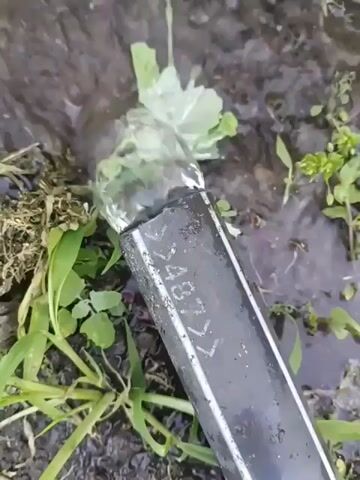 The video shows a close-up of a broken pipe with water gushing out. The pipe is black and appears to be made of metal, with some white markings on its surface that are partially visible. The water is spraying forcefully from the opening in the pipe, creating a small splash. Green plants, including grass and some larger leaves, are growing around the pipe and the surrounding muddy ground. The scene suggests an outdoor setting, possibly a garden or a field, where the pipe is part of an irrigation or water supply system. The lighting suggests it is daytime. There is no indication of the time of day or weather conditions beyond the presence of water. The overall impression is one of a damaged water infrastructure. The visible text on the pipe appears to be a serial number or identification code, though it is not fully legible. The context of Ravnets, Bulgaria, places this scene in a specific geographical location. The activity taking place is a water leak due to a damaged pipe.