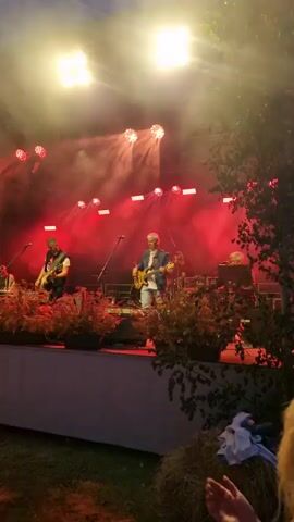 A band performs on an outdoor stage at dusk. The stage is illuminated by red and white lights, with smoke effects. Three musicians are visible on the stage: a man in a black vest and dark pants plays a guitar, a man in a white shirt and blue jacket plays a bass guitar, and another person is seated at a keyboard on the far left. In front of the stage are planters filled with dark green foliage and red flowers. A tree with sparse leaves is on the right side of the frame. The audience is partially visible in the foreground, with the back of a person's head in focus at the bottom right. The sky is a dusky blue.