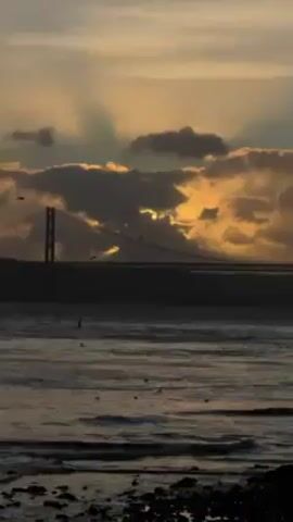 The video shows a silhouette of a bridge under a sky with golden sun rays breaking through the clouds. The water is dark with small waves, and several birds fly around. The camera moves down to reveal a person standing on a rocky shore looking out at the water, their figure silhouetted against the light. The birds continue to fly around near the shore.