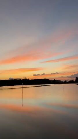 A vertical video displays a serene body of water reflecting a sunset sky. The sky exhibits a gradient of colors, transitioning from a pale blue at the top to vibrant hues of orange, pink, and yellow closer to the horizon. Wispy clouds are scattered across the sky, catching the sunset's light. A dark silhouette of trees and land forms a distant horizon line. The water's surface is calm, creating a mirror image of the sky and the distant land. Two thin, vertical poles are visible in the water, one in the foreground and another further back. The overall atmosphere is tranquil and picturesque.