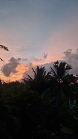 The video shows a sunset over a tropical landscape. The sky is filled with clouds of pink, orange, and purple hues. Palm trees and other lush greenery are silhouetted against the colorful sky. The overall mood is peaceful and serene.