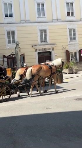 Horse carriages and a wedding shoot in Salzburg's old town