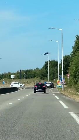 A black SUV drives down a paved road. Two white cars are parked on the right side of the road, one partially obscured by the SUV. Several streetlights line the road. Trees and foliage are visible on the right side of the road, with a clear blue sky overhead. Traffic signs are also present along the roadside.