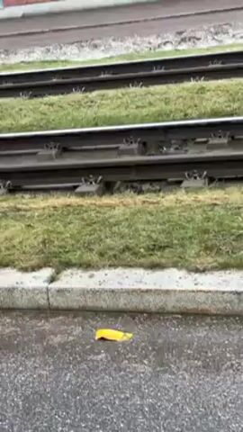 The video depicts a modern, light-rail tram as it travels around a bend on a set of tracks. The tram is painted white with teal accents. The area around the tracks has some patches of grass. The ground is wet, suggesting it has recently rained. In the background, there is a tall brick building. The overall setting appears to be an urban or suburban area with public transportation infrastructure.