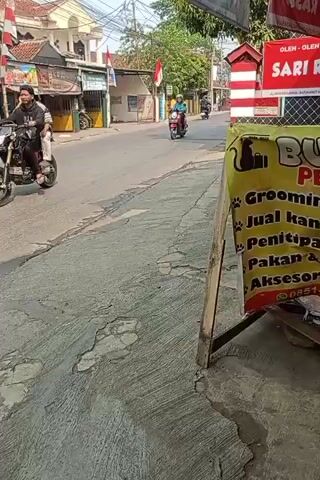 The video captures a street scene where a red motorcycle passes by, followed by a black scooter with two passengers. Further down the street, a person walks away from the camera. The environment appears to be a typical street in what looks like Southeast Asia, with buildings and shops lining the road. A sign for "BUDI PET" is prominently displayed in the foreground, advertising pet grooming, sales, boarding, food, and accessories. Indonesian flags are visible on buildings in the background, suggesting the location is Indonesia. The overall impression is a snapshot of daily life on a local street.