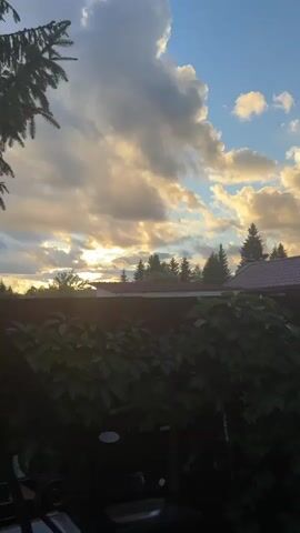 The video opens with a view of a cloudy sky at sunset. The sun's rays are peeking through the clouds, casting a warm glow on the scene. In the foreground, there is a dark fence covered in lush green ivy. Behind the fence, we can see the rooftops of houses and the tops of evergreen trees. The setting appears to be a residential area, likely a dacha or a village, given the presence of houses and fenced yards. The overall mood is peaceful and serene, characteristic of a quiet evening. The sky is a mix of blue and dramatic, illuminated clouds, suggesting a change in weather or the last moments of daylight. There is no visible text in the video. The time of day is clearly sunset. The location is identified as Тмз Снт, Russia.
