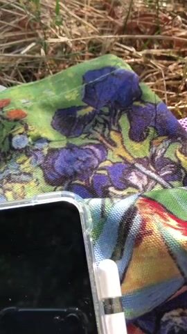The video opens with a close-up shot of a smartphone resting on a colorful cloth patterned with purple flowers. A white stylus is positioned next to the phone. The camera then pans upwards and to the right, revealing a grassy field bathed in sunlight. In the distance, a treeline forms the backdrop under a partly cloudy sky. As the camera continues to move, a person wearing dark clothing and possibly a red shirt can be seen walking across the field. The camera angle is low, suggesting it is positioned close to the ground.