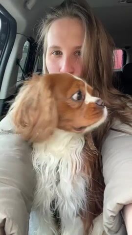 A woman is sitting in the driver's seat of a car, holding a Cavalier King Charles Spaniel dog. She is wearing a gray puffer jacket and has long blonde hair. She kisses the dog on the head and smiles at the camera. A man is sitting in the passenger seat. The car appears to be parked.