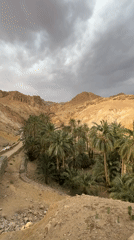 Desert oasis and canyon documented in As-Sabikah, Tunisia