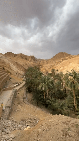 Desert oasis and canyon documented in As-Sabikah, Tunisia
