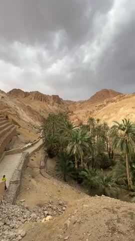 The video shows a desert oasis nestled between tan-colored hills under an overcast sky. The oasis is filled with numerous palm trees. A stone pathway runs along the edge of the oasis, and a small structure is visible in the distance. The foreground consists of sandy ground with scattered rocks and sparse vegetation.