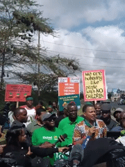 Environmental protesters gather in Nairobi with deforestation signs