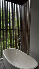 Modern bathroom with running bath overlooking green forest captured