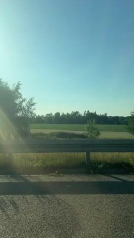 This is a short video clip captured from a vehicle, likely a car, moving along a road. The perspective is from the passenger side, looking out.

The scene is a sun-drenched rural landscape under a clear, bright blue sky. The sun is strong, casting a noticeable glare and lens flare into the left side of the frame. A highway guardrail runs horizontally across the middle ground of the image, separating the road from the area beyond. Beyond the guardrail, there is a grassy verge, followed by a field of green crops or grass, and then a dense line of trees forming a forest in the distance. The overall impression is one of a bright, sunny day in a natural, open setting.

The time of day appears to be morning or late afternoon due to the angle of the sun and the quality of the light. The weather is clearly fair and sunny. There are no people or specific objects visible in the foreground or middle ground beyond the road surface, guardrail, and vegetation. The activity taking place is travel, as evidenced by the motion blur and the perspective from inside a moving vehicle.

The location is identified as Łagów, Poland. While there are no explicit text overlays or signs visible in the video itself, this context provides a geographical anchor. The overall mood conveyed is peaceful and perhaps serene, typical of a scenic drive on a pleasant day.