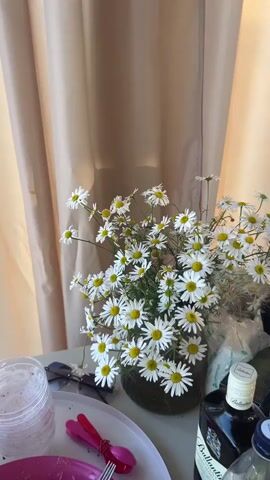 The video shows a close-up of a bouquet of white daisies with yellow centers in a vase. The daisies are arranged in the center of the frame, with a beige curtain in the background. In the foreground, on the left side of the frame, there are a few plastic cups, a pair of sunglasses, and two pink plastic spoons. On the right side of the frame, there is a bottle of alcohol, possibly whiskey, with a label that says "Ballantine's." The lighting is soft and natural, suggesting daylight. The overall mood is calm and relaxed. There are no people visible in the video. The camera focuses on the flowers, with slight movements that provide a dynamic view of the bouquet.