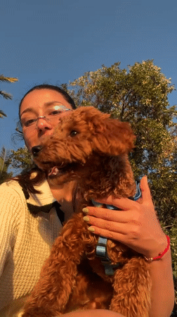 Tourist with poodle explores Montenegro coast during golden hour