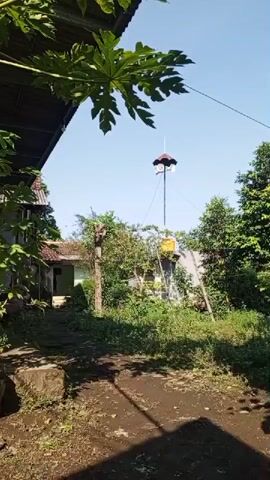 The video showcases an outdoor scene on a bright, sunny day in Sumbersari, Indonesia. The foreground is dominated by a dirt path with sparse vegetation. To the left, a portion of a dark, corrugated roof is visible, casting a shadow. Beyond the path, a lush green area is filled with trees and bushes. A small, light-colored house with a visible doorway and steps is nestled among the foliage. In the background, a tall, thin metal tower stands prominently, topped with a dark, umbrella-like structure and what appears to be a speaker. A yellow water tank is attached to the tower. The sky is a clear, vibrant blue, suggesting pleasant weather. The overall impression is one of a rural or semi-rural residential setting, likely during daylight hours given the bright sunshine and clear shadows. There are no people visible in the media. No text is discernible.
