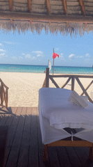 Tropical resort scenes documented in Playa del Carmen