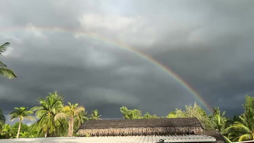 The video shows a full rainbow arching across a gray, cloudy sky. The bottom of the rainbow appears to start among palm trees and the thatched roof of a building. Power lines appear on the right side of the frame towards the end of the video.