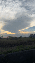 Rural life documented in Sukawati amid cloudy morning skies
