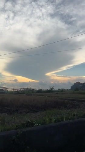 Rural life documented in Sukawati amid cloudy morning skies