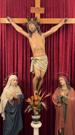 Religious displays and flowering plants documented in Barcelona