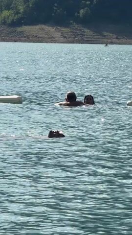 The video shows a body of water, likely a lake, with a wooded hillside in the background. The water is a light blue-green and appears to have small waves. In the foreground, three people are swimming. Two people are together, appearing to be embracing or holding onto each other, with their heads and shoulders visible above the water. A third person is swimming alone, further away, with their head tilted back, looking upwards. There are white buoys floating in the water to the right of the frame. The lighting suggests it is daytime.