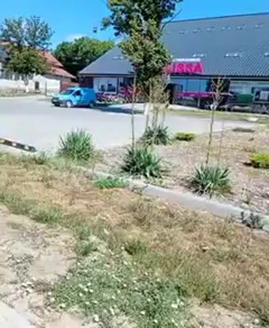 The video shows a street scene on a sunny day. In the foreground, a paved sidewalk runs along the left side of the frame, bordered by a patch of dry grass and weeds, with some small white flowers visible. A few black and yellow parking stops are present in the grassy area. In the background, a light blue van is parked and then drives away. There are buildings and trees in the distance, and the sky is clear and blue. A larger grey van is visible further down the street.