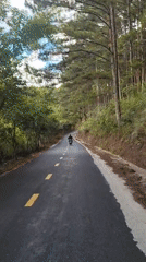 Motorcyclist rides through forest tunnel road near Da Lat