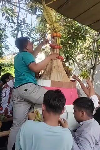 A group of people are gathered around a large, cone-shaped structure decorated with fruit and palm leaves. One person, wearing a teal shirt and tan pants, is climbing on the structure to adjust the decorations. Other people, including children, are reaching up to the structure, some appearing to be assisting or observing the process. The scene takes place outdoors under a canopy, with trees visible in the background. The atmosphere appears festive and collaborative.