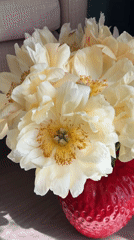 Cream peonies in strawberry vase captured in Moscow