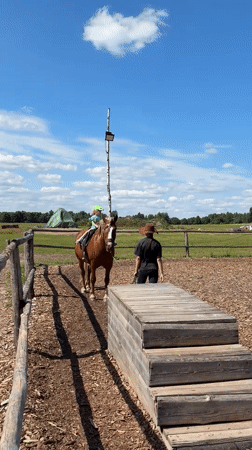 Farm animal encounters at a rural Belarus property