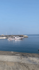 Manado harbor life: boats, a shipwreck, and calm water