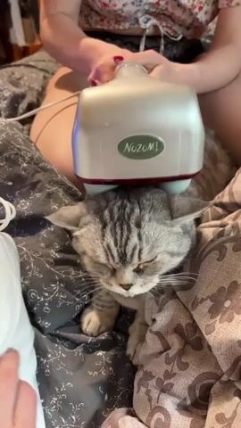 A gray tabby cat with closed eyes is lying on a bed with floral-patterned bedding. A person, partially visible and wearing a floral top, is holding a silver massage device with a green "Nozomi" logo over the cat's head. The person's hands are on the device, suggesting they are operating it. The massage device appears to be vibrating or applying pressure to the cat's head. The cat seems relaxed, with its head resting on its paws.
