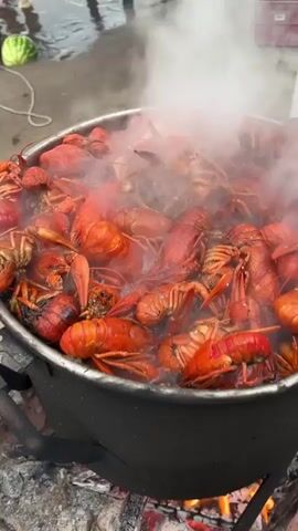 A large pot filled with bright red crawfish is steaming vigorously over an open fire. The crawfish are clustered together, with some partially submerged in the liquid within the pot. Wisps of steam rise from the pot, obscuring some of the crawfish. The pot itself is dark and appears to be made of metal, with two handles visible on the sides. The fire beneath the pot is burning with bright orange flames and glowing embers, suggesting it is actively cooking the crawfish. The ground around the fire is covered in ash and scattered stones. In the background, out of focus, are some indistinct figures and objects, including what appears to be a large green, round object resembling a watermelon, and a pink crate. The overall scene depicts an outdoor cooking setup, likely for a crawfish boil.
