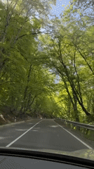 Driver travels through forest road near Tetri Tsklebi, Georgia