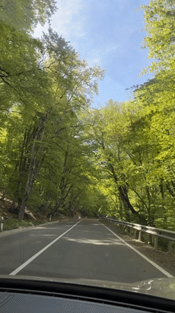 Driver travels through forest road near Tetri Tsklebi, Georgia