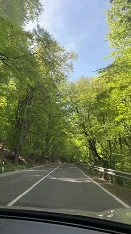 The video shows a view from inside a car driving on an asphalt road through a lush forest. The road is well-maintained with white lines marking the lanes. The trees on both sides of the road are tall and dense, with vibrant green leaves forming a canopy above, partially obscuring the sky. Sunlight filters through the foliage, creating dappled lighting on the road. The dashboard of the car is visible at the bottom of the frame. A metal guardrail runs along the side of the road. In the distance, another car can be seen approaching. There is music playing in the background.