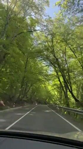 Driver travels through forest road near Tetri Tsklebi, Georgia