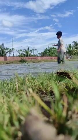 A young man, wearing a light-colored shirt and dark pants, stands in a shallow body of water under a bright blue sky with white clouds. He is holding a fishing rod and casts it into the water. In the foreground, there is green grass. In the background, there are trees, some of which are palm trees, and a fence. The water appears to be still with some ripples from the cast.