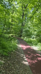 Morning park activity documented on red pathway in Târgu Mureș