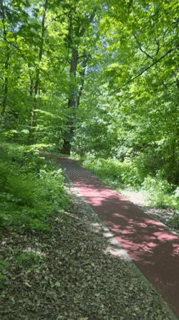Morning park activity documented on red pathway in Târgu Mureș