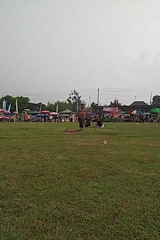 Here is a detailed description of the video:

The video shows two shirtless men wearing black pants and headbands, standing in the middle of a green field. They are the focus of the video. Behind them, a crowd of people is visible, standing along the edge of the field. There are tents and flags set up behind the crowd. The sky is overcast. It appears to be some kind of performance or event happening in a public space. The video is filmed from a distance, and the camera is oriented vertically.