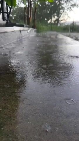 The video shows a low-angle perspective of a wet concrete surface during rainfall. Small raindrops create ripples as they hit the surface, which is reflecting the overcast sky and surrounding foliage. In the background, there are glimpses of steps, greenery, and possibly a building. The overall atmosphere is one of a rainy day.