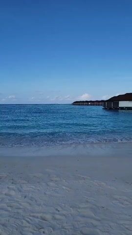 A drone flies over a serene beach on a clear day. The ocean is a brilliant turquoise, with gentle waves lapping at the shore. In the distance, overwater bungalows are visible, dotting the horizon. The sand is a pale, fine grain, with subtle ripples from the breeze. The sky is a vast expanse of clear blue, with a few wispy clouds. The drone's movement suggests a leisurely scan of the picturesque scenery.