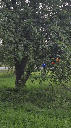 Ambulance and orange-vested responders active in Krauja, Latvia