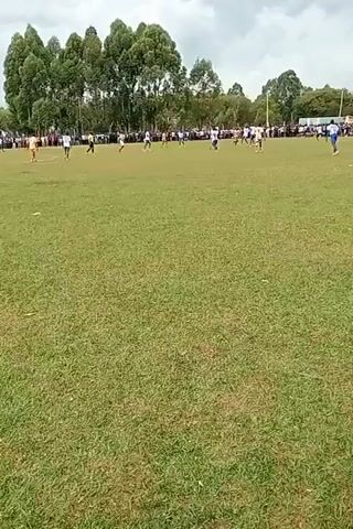 A soccer game unfolds on a grassy field under a cloudy sky. Players in varied jerseys, including white, blue, and orange, are scattered across the field, engaging in the game. A crowd lines the perimeter of the field, watching the match. Behind them, trees form a backdrop, adding depth to the scene.