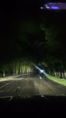 Night driving captured on tree-lined road in Abkhazia