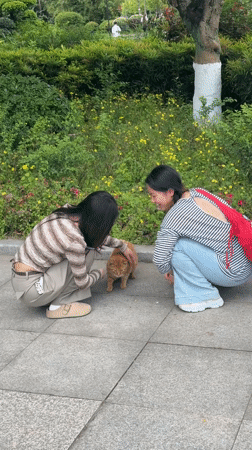 Daily life scenes captured across Jiangjin, China neighborhoods